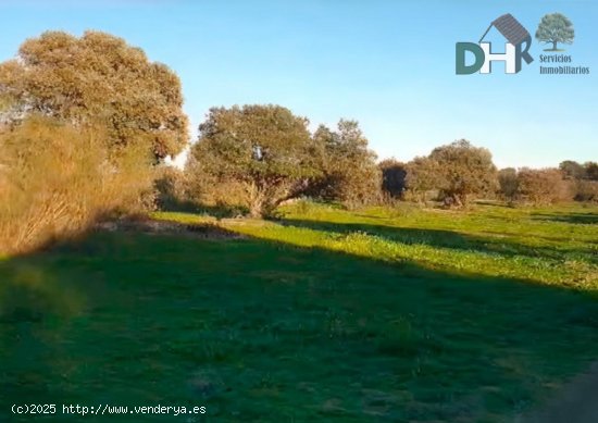 Solar en venta en Cáceres (Cáceres)