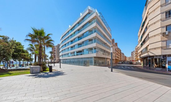 Apartamento en venta a estrenar en Torrevieja (Alicante)