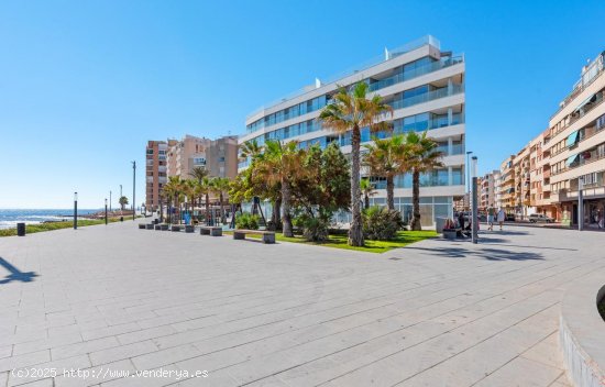 Apartamento en venta a estrenar en Torrevieja (Alicante)