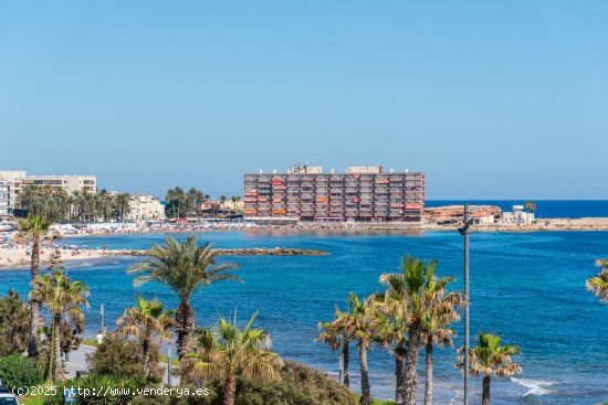 Apartamento en venta a estrenar en Torrevieja (Alicante)