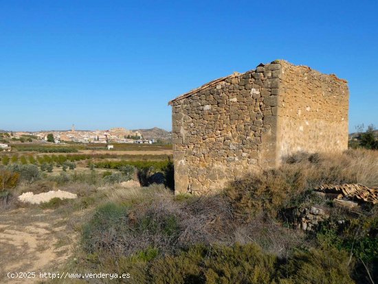  Finca en venta en Maella (Zaragoza) 