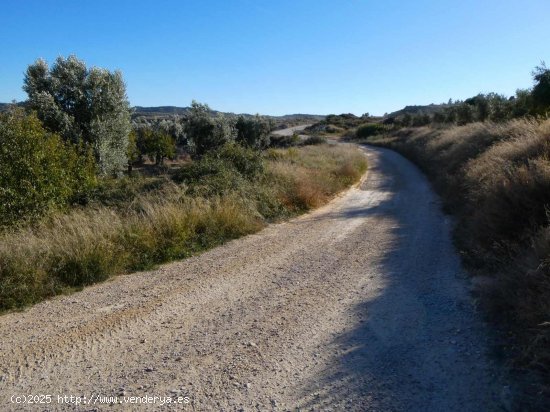 Finca en venta en Maella (Zaragoza)