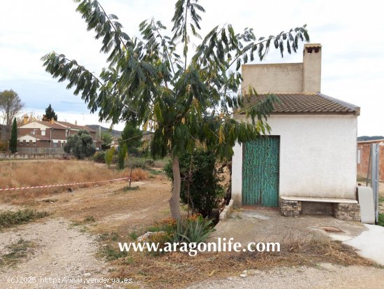 Finca en venta en Maella (Zaragoza)