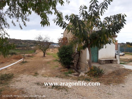 Finca en venta en Maella (Zaragoza)