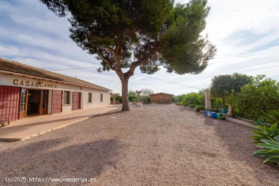 Finca en venta en Daya Nueva (Alicante)