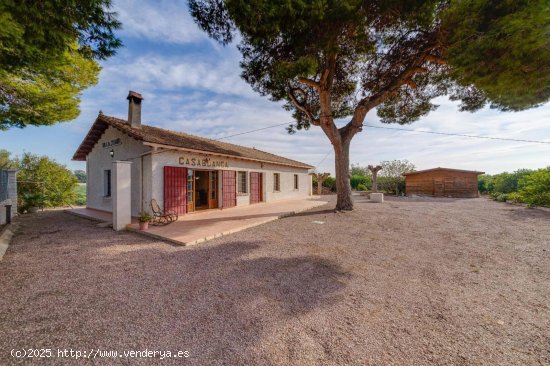 Finca en venta en Daya Nueva (Alicante)