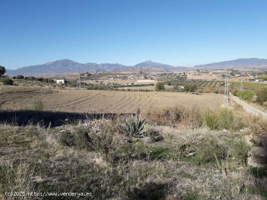  Finca en venta en Cártama (Málaga) 