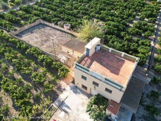 Finca en venta en Beniarbeig (Alicante)