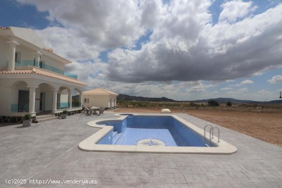 Villa en venta a estrenar en Pinoso (Alicante)