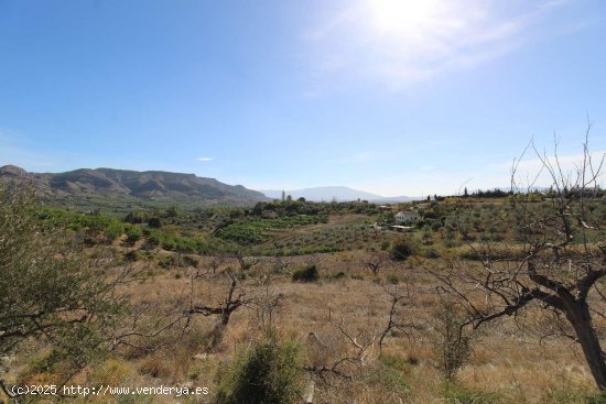  Finca en venta en Pizarra (Málaga) 