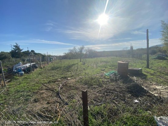 Finca en venta en Les Borges del Camp (Tarragona)