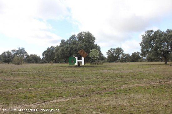 Solar en venta en Cáceres (Cáceres)