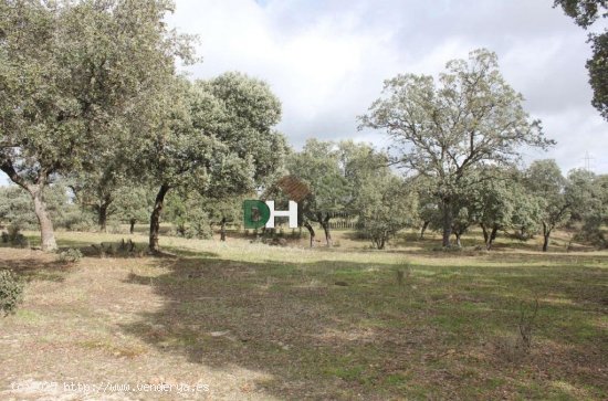 Solar en venta en Cáceres (Cáceres)