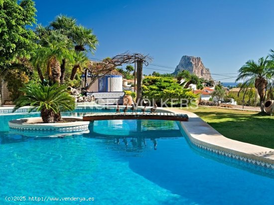 Finca en venta en Calpe (Alicante)