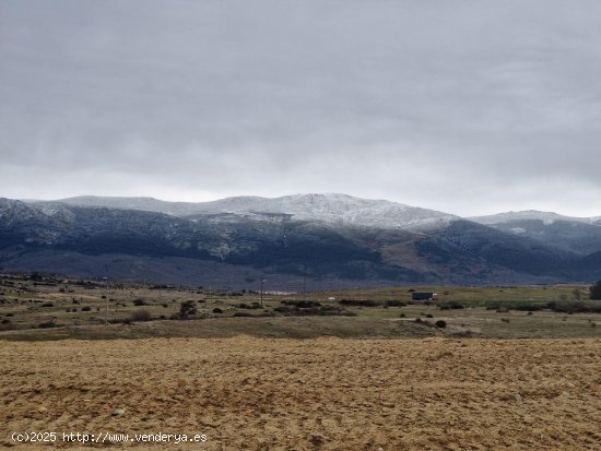 Parcela en venta en Palazuelos de Eresma (Segovia)