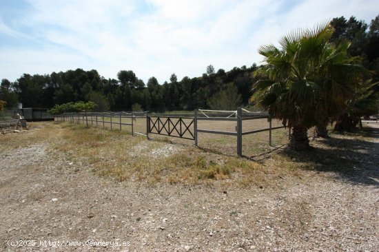 Finca en venta en Orba (Alicante)