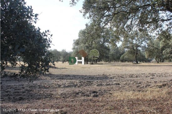 Solar en venta en Cáceres (Cáceres)