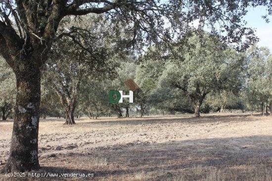 Solar en venta en Cáceres (Cáceres)