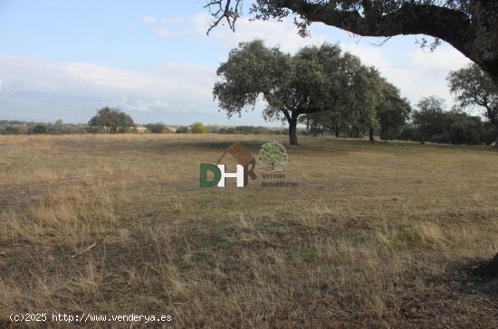 Solar en venta en Cáceres (Cáceres)