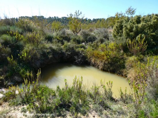 Finca en venta en Maella (Zaragoza)