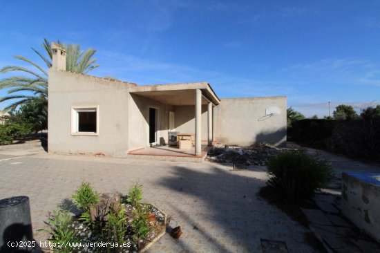  Finca en venta en Elche (Alicante) 