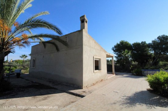 Finca en venta en Elche (Alicante)