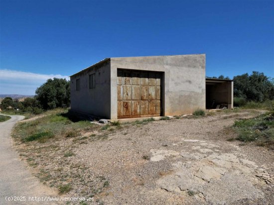 Finca en venta en Caspe (Zaragoza)