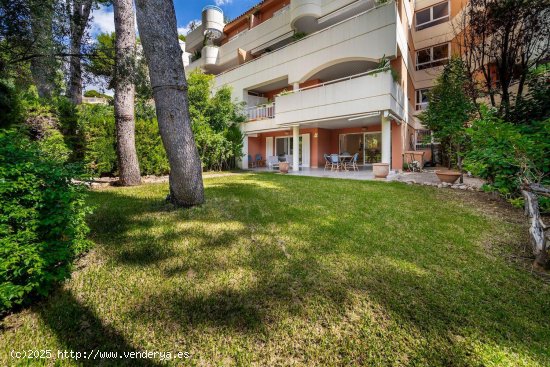 Piso en venta en Calvià (Baleares)