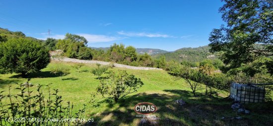 Finca en venta en Oviedo (Asturias)