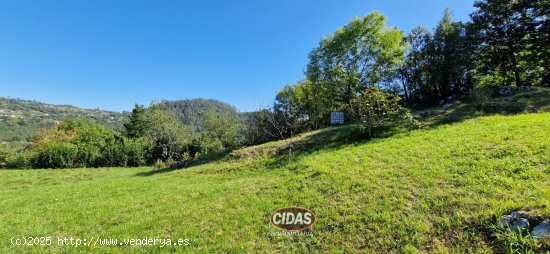 Finca en venta en Oviedo (Asturias)