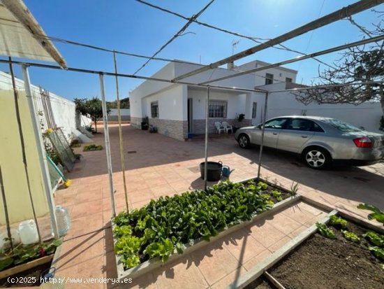 Chalet en venta en Torrevieja (Alicante)