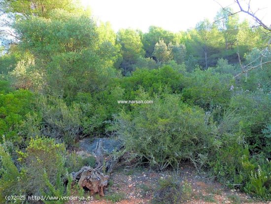 Finca en venta en La Pobla Tornesa (Castellón)