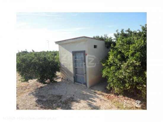 Chalet en venta en Polinyà de Xúquer (Valencia)