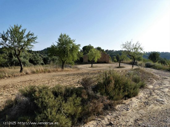 Finca en venta en Maella (Zaragoza)