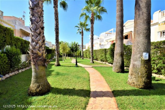 Bungalow en alquiler en Guardamar del Segura (Alicante)