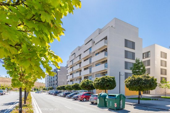 Local en alquiler en Pamplona (Navarra)