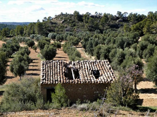 Finca en venta en Maella (Zaragoza)