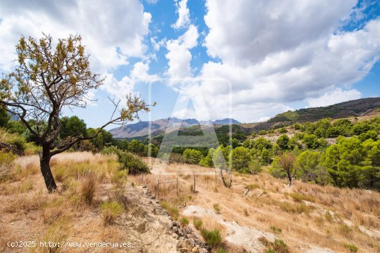 Solar en venta en Benissa (Alicante)