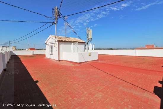 Apartamento en venta en Torrevieja (Alicante)