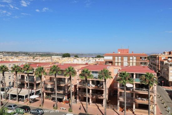 Apartamento en venta en Torrevieja (Alicante)