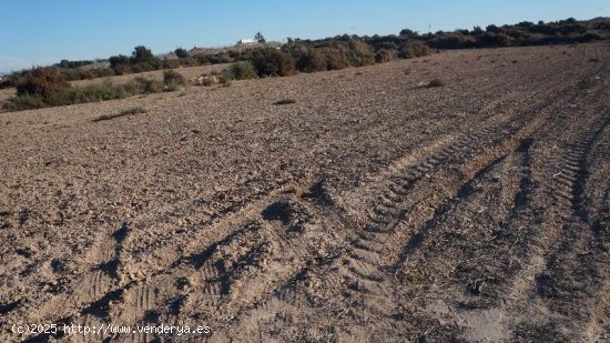 Parcela en venta en Elche (Alicante)