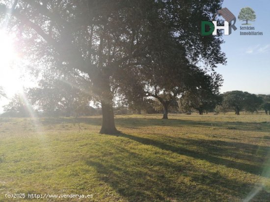 Solar en venta en Cáceres (Cáceres)