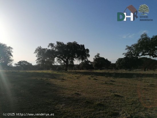 Solar en venta en Cáceres (Cáceres)