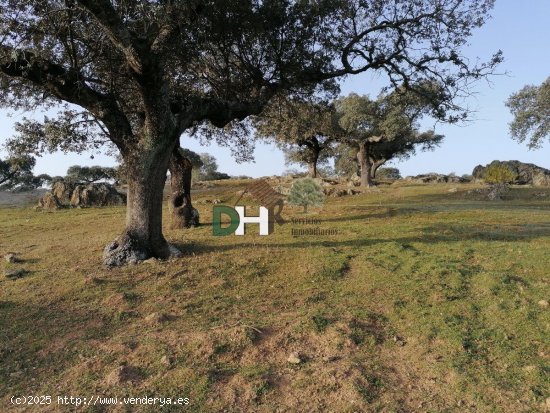 Solar en venta en Cáceres (Cáceres)