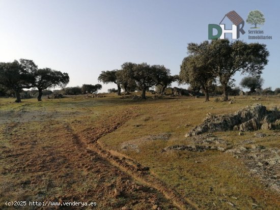 Solar en venta en Cáceres (Cáceres)