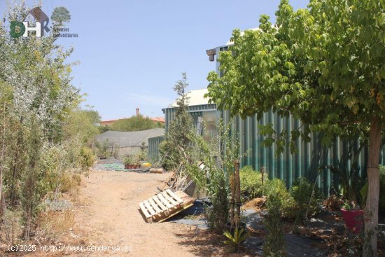 Solar en venta en Solana de los Barros (Badajoz)