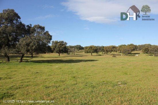 Solar en venta en Cáceres (Cáceres)