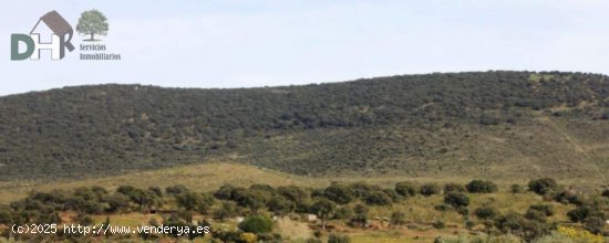 Solar en venta en Cáceres (Cáceres)