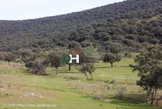 Solar en venta en Cáceres (Cáceres)