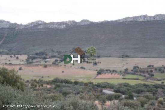 Solar en venta en Cáceres (Cáceres)